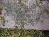 image of grave number 907211